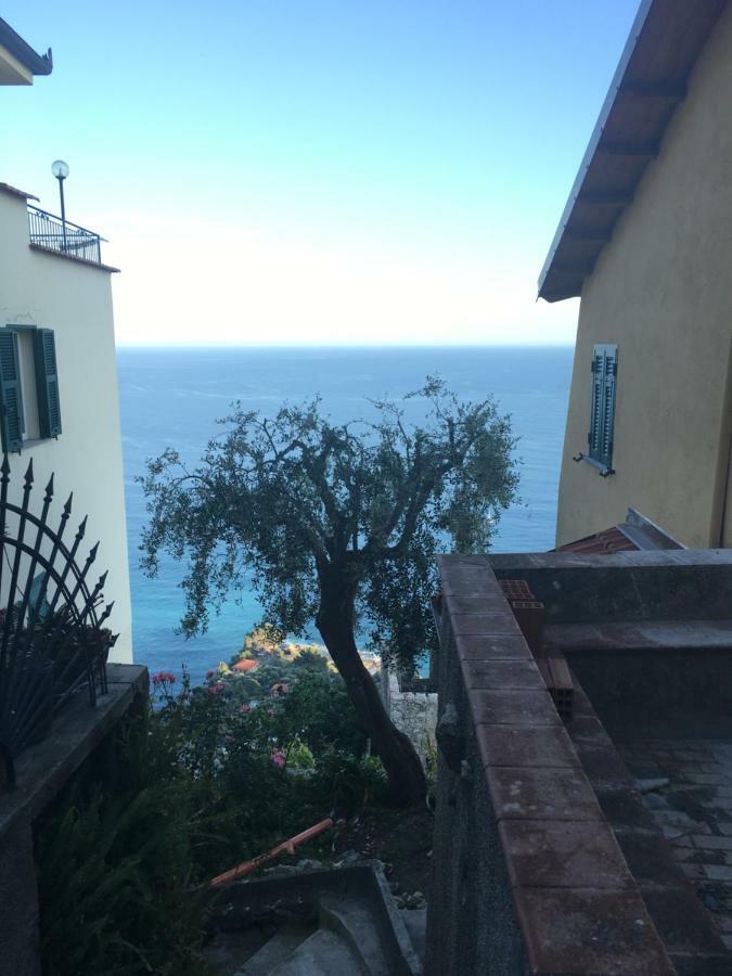 House In Grimaldi. Spectacular View Over The French Riviera! Grimaldi (Liguria) Exterior foto